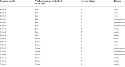 Insight of vitellogenesis patterns: A comparative analysis of the differences between the primary and secondary vitellogenesis period in the ovary, hepatopancreas, and muscle of mud crab, scylla paramamosain